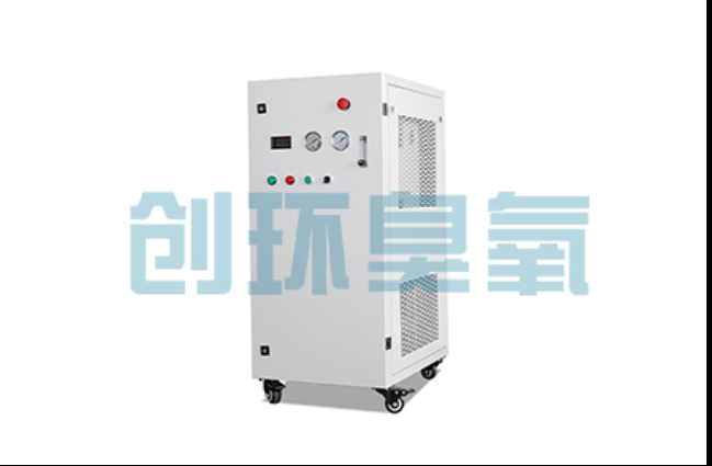 伊春工厂化养鲈必看:2026年臭氧发生器替代传统消毒的最新方案