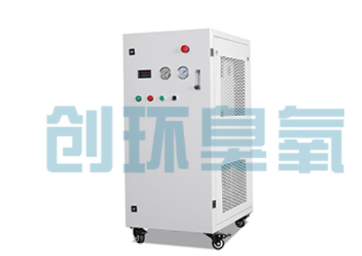 伊春石斑鱼养殖水质调控完整指南：臭氧发生器配置与操作步骤