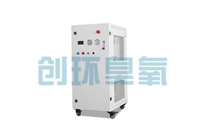 伊春比传统换水更高效？臭氧发生器在石斑鱼养殖中的水质净化原理解析